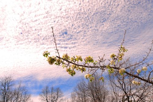 Fotografia de manuel concha - Galeria Fotografica: CIELOS - Foto: Caleu