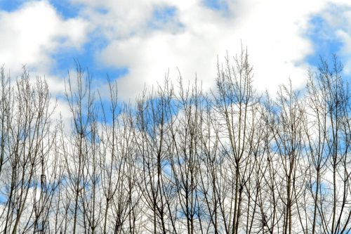 Fotografia de manuel concha - Galeria Fotografica: CIELOS - Foto: Santiago