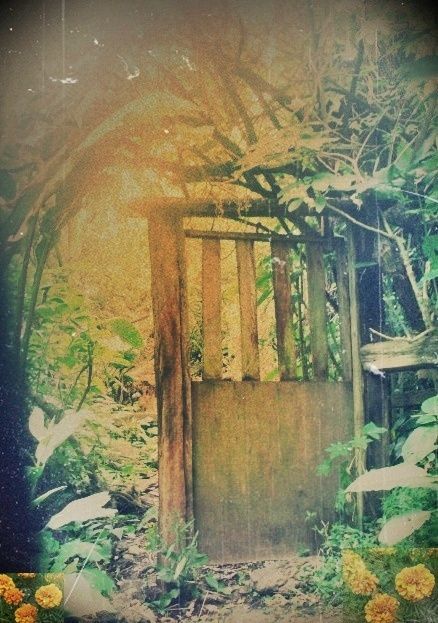 Fotografia de KALISHMA - Galeria Fotografica: retrato - Foto: 