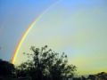 Fotos de Aninimus -  Foto: Vida En MI Patio - arco iris