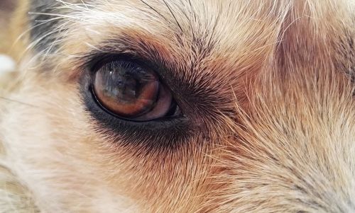 Fotografia de Santiago - Galeria Fotografica: Varios - Foto: 