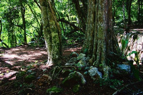 Fotografia de Santiago - Galeria Fotografica: Paisaje/Naturaleza - Foto: 