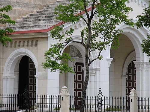 Fotografia de ppc - Galeria Fotografica: mi 2da .... - Foto: entre  el verde