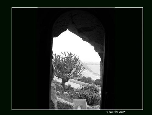 Fotografia de Nashira - Galeria Fotografica: idea - Foto: tenue