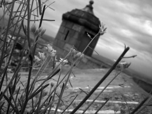 Fotografia de I_duna - Galeria Fotografica: Natural feelings - Foto: En lo ms alto