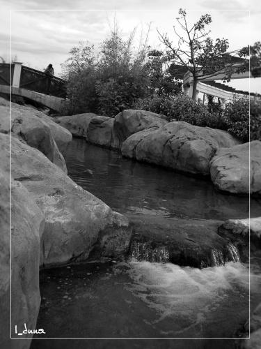 Fotografia de I_duna - Galeria Fotografica: Natural feelings - Foto: Tranquilidad