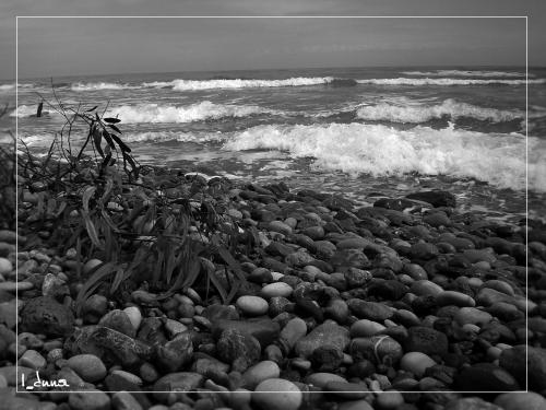 Fotografia de I_duna - Galeria Fotografica: Natural feelings - Foto: Das nublados...