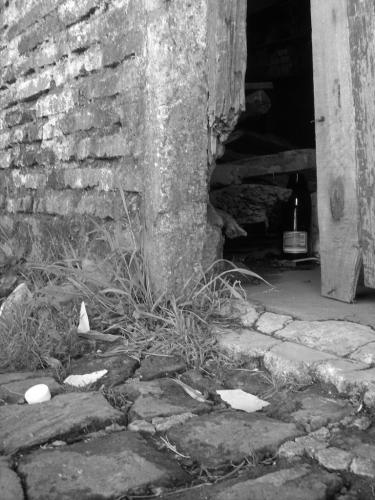 Fotografia de sol - Galeria Fotografica: Lo que veo. - Foto: 