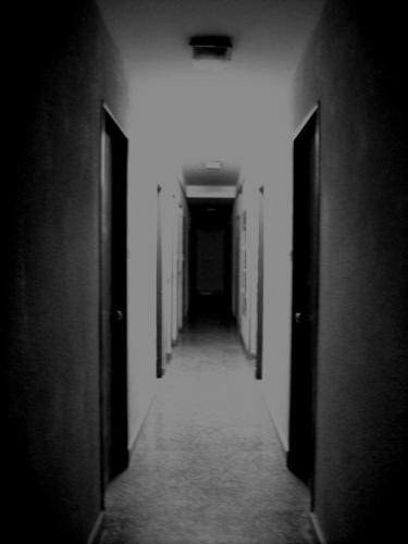 Fotografia de sol - Galeria Fotografica: Lo que veo. - Foto: 