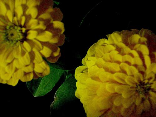 Fotografia de sol - Galeria Fotografica: Lo que veo. - Foto: 