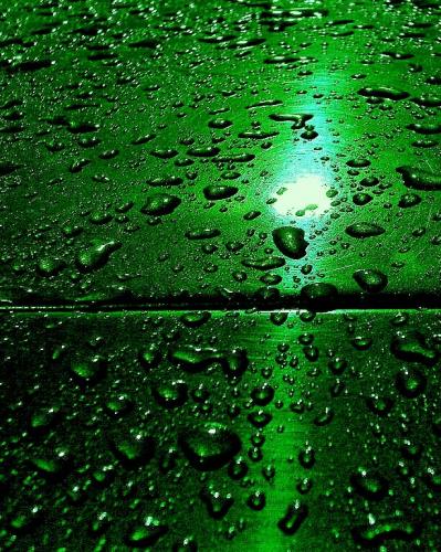 Fotografia de sol - Galeria Fotografica: Lo que veo. - Foto: 