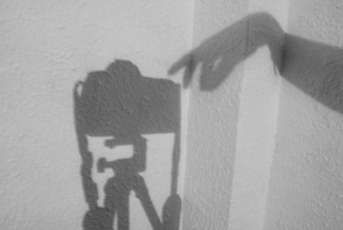 Fotografia de Maria Alejandra - Galeria Fotografica: Blanco y Negro - Foto: sobras