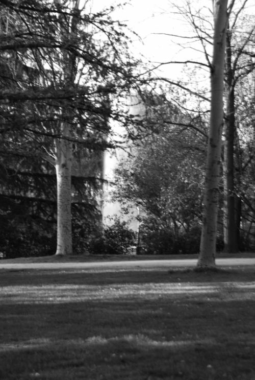 Fotografia de Maria Alejandra - Galeria Fotografica: Blanco y Negro - Foto: aguas danzantes