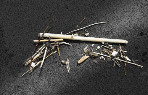 Fotografia de Albert Cuevas - Galeria Fotografica: MIKADO EN LA ARENA - Foto: 