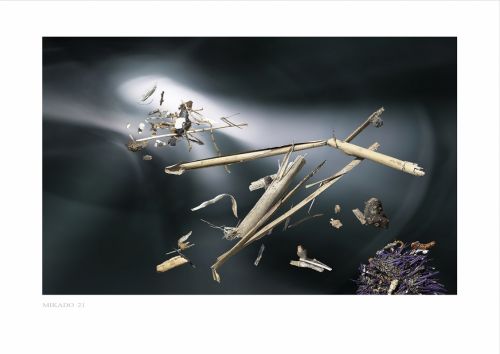 Fotografia de Albert Cuevas - Galeria Fotografica: MIKADO EN LA ARENA - Foto: 