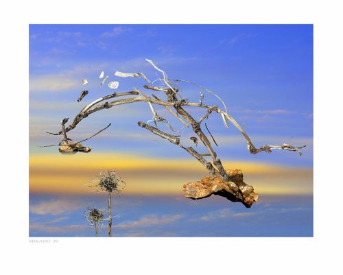 Fotografia de Albert Cuevas - Galeria Fotografica: MIKADO EN LA ARENA - Foto: 