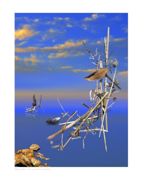 Fotografia de Albert Cuevas - Galeria Fotografica: MIKADO EN LA ARENA - Foto: 