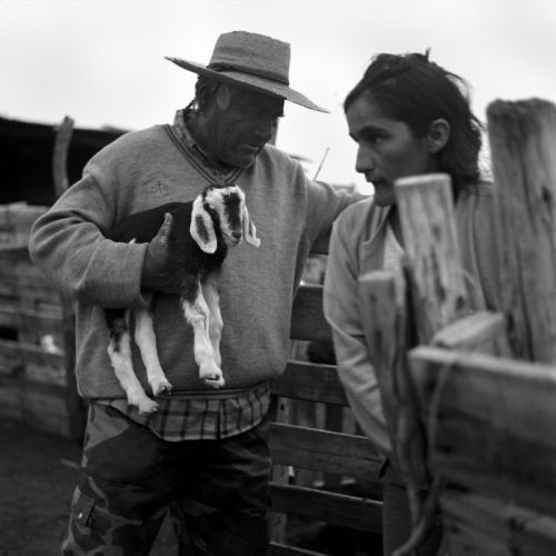 Fotografia de cristian - Galeria Fotografica: Putaendo - Foto: 