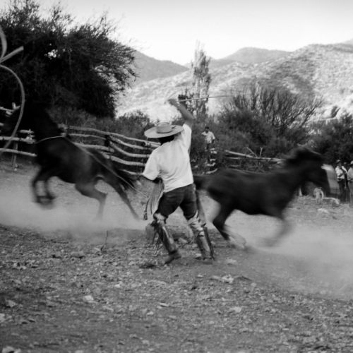 Fotografia de cristian - Galeria Fotografica: Putaendo - Foto: 