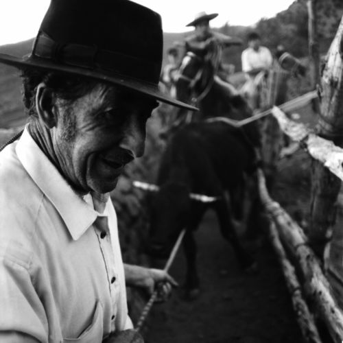 Fotografia de cristian - Galeria Fotografica: Putaendo - Foto: 