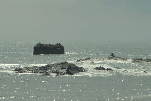 Fotografia de paco ruiz - Galeria Fotografica: carro - Foto: 