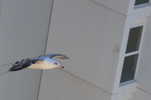 Fotografia de paco ruiz - Galeria Fotografica: carro - Foto: 