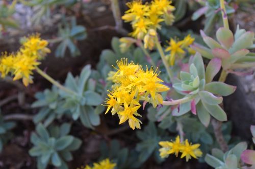 Fotografia de paco ruiz - Galeria Fotografica: carro - Foto: 