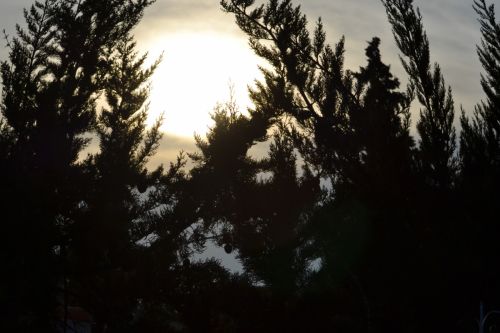 Fotografia de paco ruiz - Galeria Fotografica: carro - Foto: 