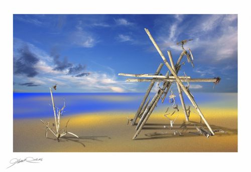 Fotografia de Albert Cuevas - Galeria Fotografica: MIKADO EN LA ARENA - Foto: 