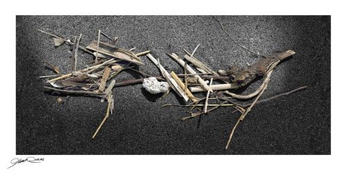 Fotografia de Albert Cuevas - Galeria Fotografica: MIKADO EN LA ARENA - Foto: 