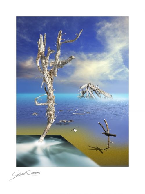 Fotografia de Albert Cuevas - Galeria Fotografica: MIKADO EN LA ARENA - Foto: 