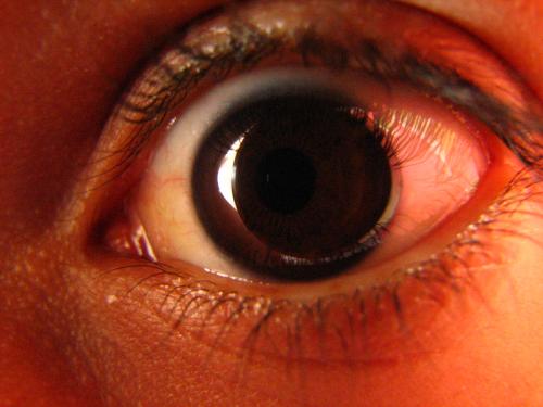 Fotografia de Denys Damasceno Rodrigues - Galeria Fotografica: Super macro - Foto: Meu olho