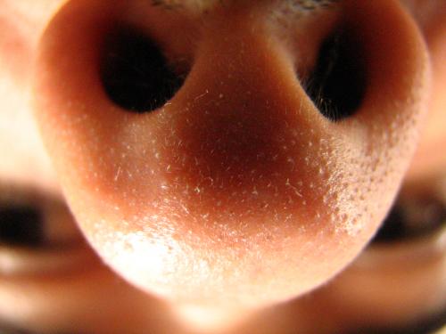 Fotografia de Denys Damasceno Rodrigues - Galeria Fotografica: Super macro - Foto: Meu nariz