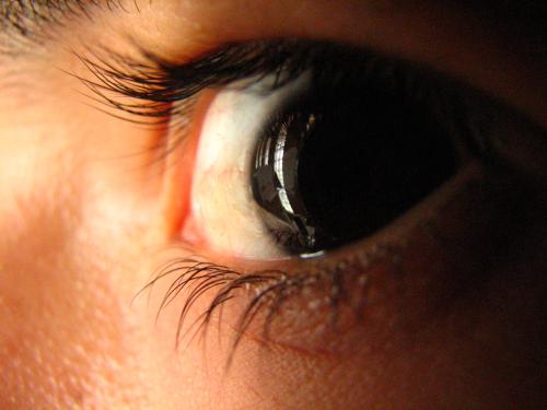 Fotografia de Denys Damasceno Rodrigues - Galeria Fotografica: Super macro - Foto: Outro olho