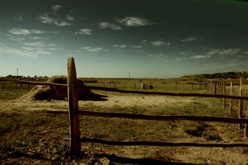 Fotografia de TOTO ALVAREZ - Galeria Fotografica: Ms guios de Toto - Foto: campo