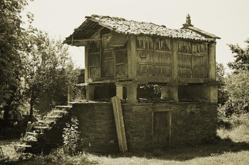 Fotografia de Juan Fernando Pareja Garcia - Galeria Fotografica: 