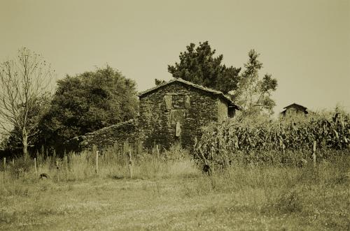 Fotografia de Juan Fernando Pareja Garcia - Galeria Fotografica: 