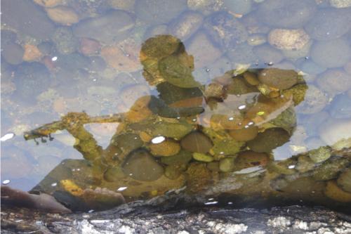 Fotografia de Carla Prieto - Galeria Fotografica: sobre gustos y colores... - Foto: lago cucao