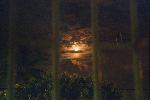 Fotografia de Alejandro - Galeria Fotografica: Portafolio3 - Foto: 