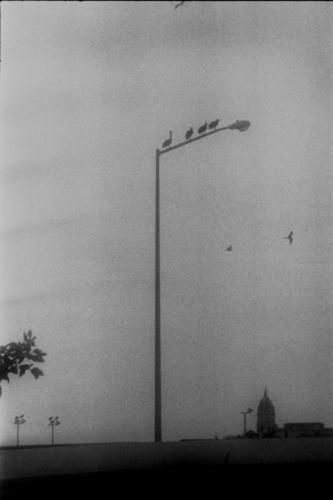 Fotografia de Alejandro - Galeria Fotografica: Portafolio3 - Foto: 