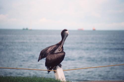 Fotografia de Alejandro - Galeria Fotografica: Portafolio3 - Foto: 