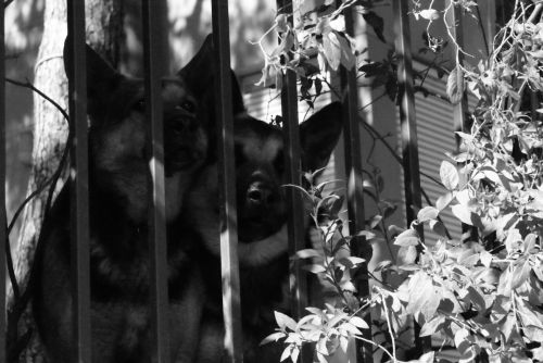 Fotografia de annacm - Galeria Fotografica: B/N - Foto: 