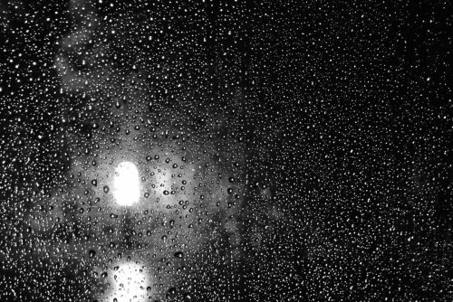 Fotografia de annacm - Galeria Fotografica: B/N - Foto: 