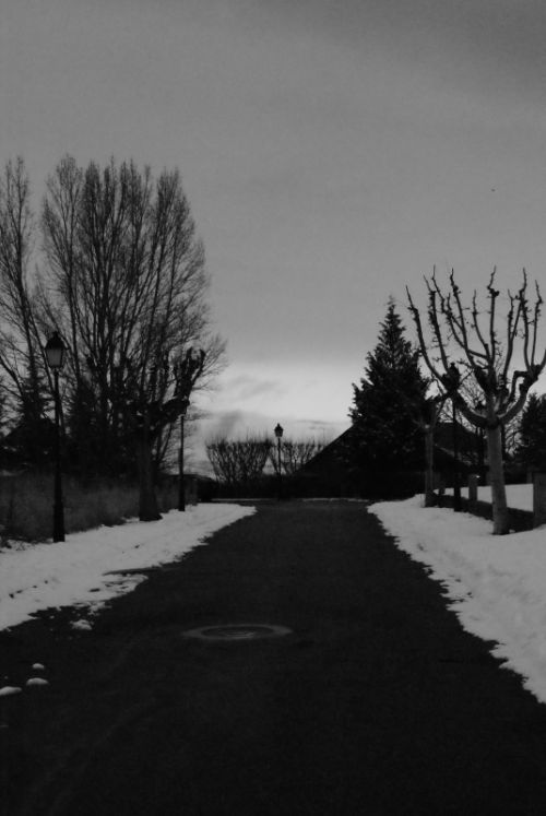 Fotografia de annacm - Galeria Fotografica: B/N - Foto: 