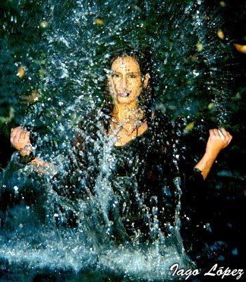 Fotografia de Imaxe Press s.c. - Galeria Fotografica: BOOKS - Foto: 