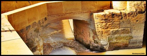 Fotografia de Edusimpson - Galeria Fotografica: Fotacos - Foto: 