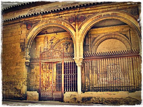 Fotografia de Edusimpson - Galeria Fotografica: Fotacos - Foto: 