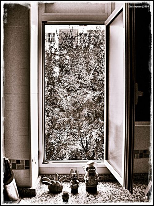 Fotografia de Edusimpson - Galeria Fotografica: Fotacos - Foto: 