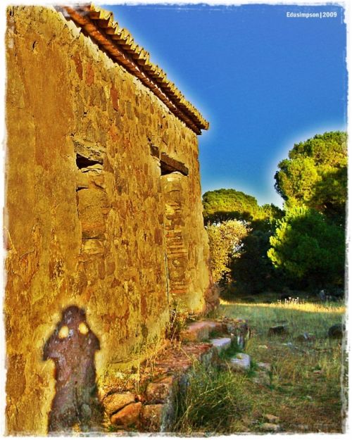 Fotografia de Edusimpson - Galeria Fotografica: Fotacos - Foto: 