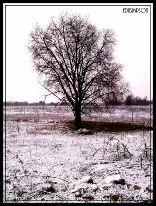 Fotografia de Edusimpson - Galeria Fotografica: Fotacos - Foto: 